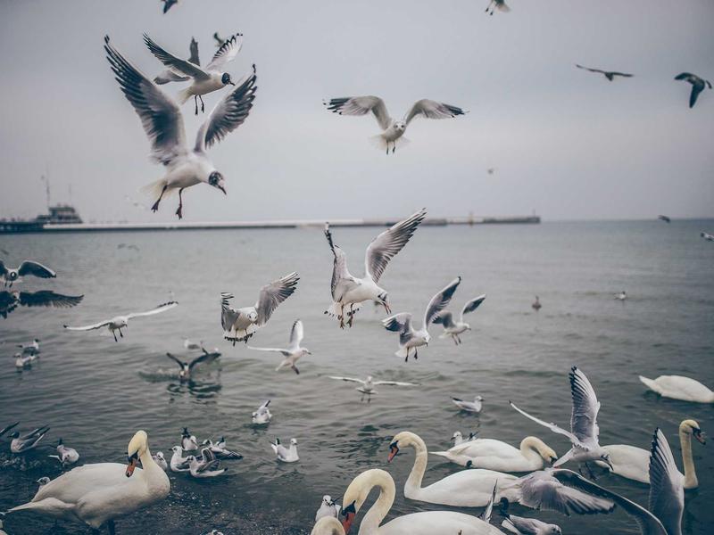 sudoku retro theme screenshot 3